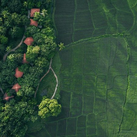 Hotel Jetwing Kaduruketha Wellawaya Exteriér fotografie