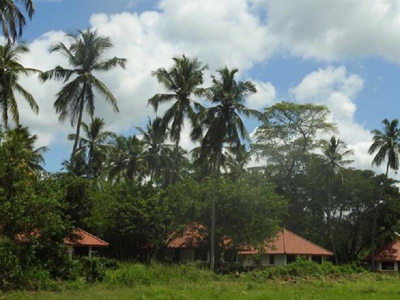 Hotel Jetwing Kaduruketha Wellawaya Exteriér fotografie