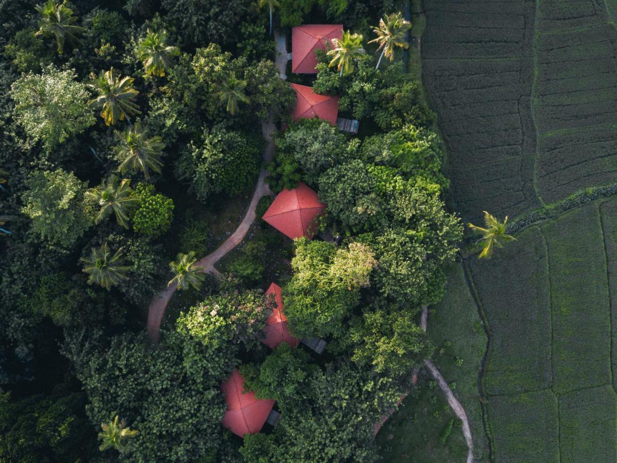 Hotel Jetwing Kaduruketha Wellawaya Exteriér fotografie