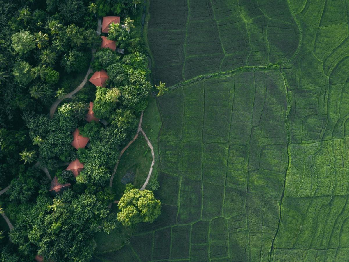 Hotel Jetwing Kaduruketha Wellawaya Exteriér fotografie